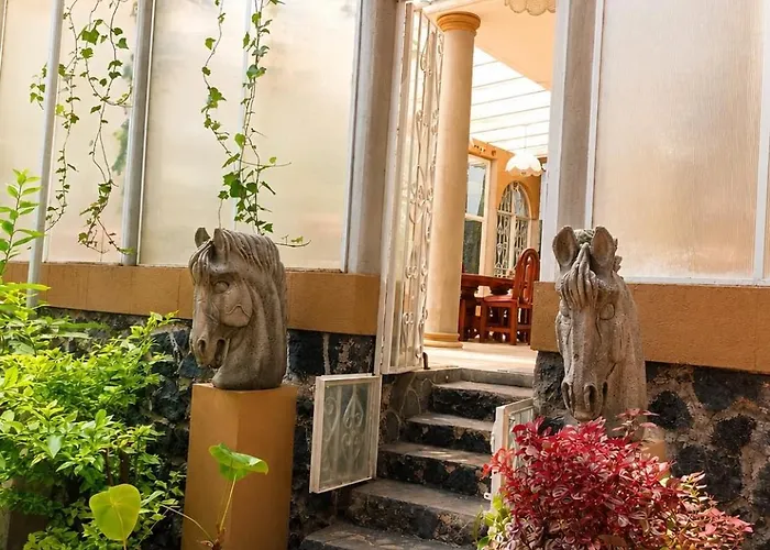 Villa Buganvilia México DF