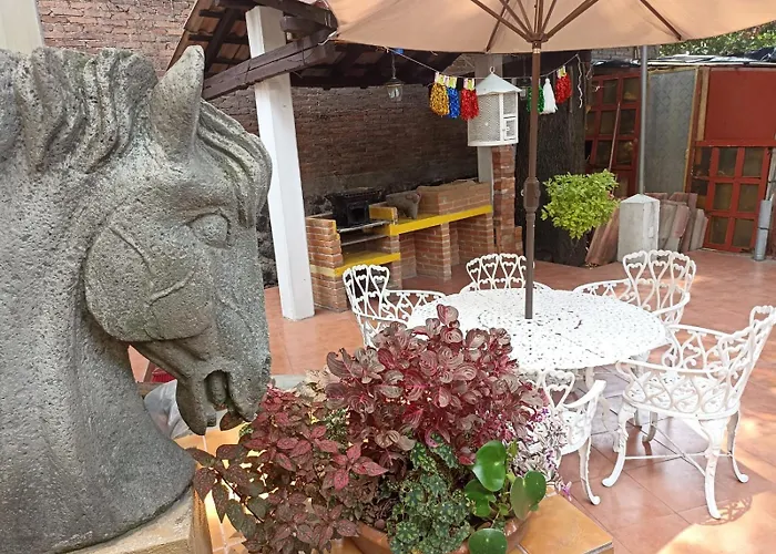 Buganvilia México DF