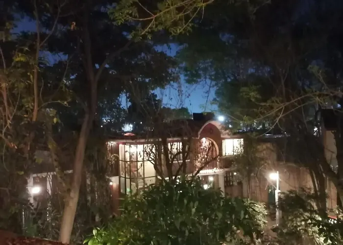 Buganvilia * México DF